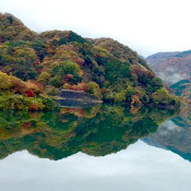 雨上がりの丹沢湖