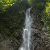 西丹沢の滝